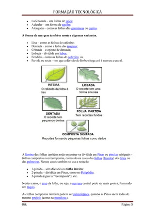 FORMAÇÃO TECNOLÓGICA
Rik Página 5
 Lanceolada – em forma de lança;
 Acicular – em forma de agulha;
 Alongada – como as folhas das gramíneas ou capins.
A forma da margem também mostra algumas variantes:
 Lisa – como as folhas do cafeeiro;
 Dentada – como a folha das roseiras;
 Crenada – o oposto de dentada;
 Lobada – dividida em lobos;
 Fendida – como as folhas do sobreiro; ou
 Partida ou secta – em que a divisão do limbo chega até à nervura central.
A lâmina das folhas também pode encontrar-se dividida em Pinas ou pínulas subiguais -
folhas compostas ou recompostas, como são os casos das folhas (frondes) dos fetos ou
das palmeiras. Nestes casos também se usa a notação:
 1-pinada – sem divisões ou folha inteira;
 2-pinada – dividida em Pinas, como no Polipódio;
 3-pinada (igual a "recomposta"); etc.
Nestes casos, o eixo da folha, ou seja, a nervura central pode ser mais grossa, formando
um ráquis.
As folhas compostas também podem ser palmiformes, quando as Pinas saem todas do
mesmo pecíolo (como na mandioca).
 