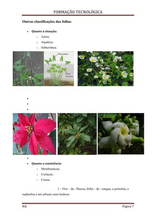 FORMAÇÃO TECNOLÓGICA
Rik Página 7
Outras classificações das folhas
 Quanto à situação:
o Aérea;
o Aquática;
o Subterrânea.




 Quanto a consistência:
o Membranácea;
o Coriácea;
o Crassa.
1 – Flor – da - Páscoa, folha – de - sangue, e poinsétia, a
euphorbia é um arbusto semi-lenhoso
 