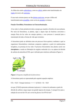 FORMAÇÃO TECNOLÓGICA
Rik Página 9
As folhas dos caules subterrâneos, como na cebola, podem estar transformados em
órgãos de reserva de nutrientes.
O caso mais extremo parece ser das plantas carnívoras, em que a folha está
transformada numa armadilha, como se de um predador se tratasse.
Função Clorofilina; Fotossíntese ou Cloracarbonização.
A luz solar é a fonte primária de toda a energia que mantém a biosfera de nosso planeta.
Por meio da fotossíntese, as plantas, algas e alguns tipos de bactérias convertem a
energia física da luz solar em energia química, e esse processo é essencial para a
manutenção de todas a formas de vida aqui existentes.
A fotossíntese pode ser definida como um processo físico-químico, mediante o qual os
organismos fotossintéticos sintetizam compostos orgânicos a partir de matéria-prima
inorgânica, na presença de luz solar. O processo fotossintético das plantas ocorre nos
cloroplastos e resulta na libertação de oxigénio molecular (o) e na captura de dióxido
de carbono da atmosfera (CO2), que é utilizado para sintetizar carbonatos (Figura 1).
Figura 1. Esquema simplificado da fotossíntese
A fotossíntese pode ser representada pela seguinte equação empírica:
CO2 + H2O + Energia luminosa =====> [CH2O] + O2 + H2O
em que, [CH2O] representa carbonato (açúcares). A síntese de carbonatos a partir de
dióxido de carbono e água requer um grande ingresso de energia. A energia livre para a
redução de um mol de CO2 até o nível de glicose é de 478 kJ mol-1
.
 