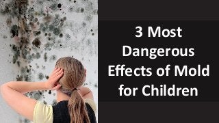 3 Most
Dangerous
Effects of Mold
for Children
 