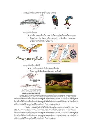 > การเคลื่อนที่ของเต่าทะเล แมวน้า และสิงโตทะเล
> การเคลื่อนที่ของนก
 การทางานของกล้ามเนื้อ 2 ชุด คือ ยึดกระดูกโคนปีกและยึดกระดูกอก
 โครงสร้างการบิน ประกอบด้วย กระดูกมีรูพรุน น้าหนักเบา และถุงลม
สารองอากาศผลิตพลังงานขณะบิน
> การเคลื่อนที่ของเสือชีต้า
 ความแข็งแรงและประสิทธิภาพของกล้ามเนื้อ
 โครงกระดูกรับน้าหนักและเพิ่มช่วงการเคลื่อนที่
นักเรียนร่วมแสดงความคิดเห็นและซักถามข้อสงสัยเกี่ยวกับความหมาย ความสาคัญและ
กระบวนการของการเคลื่อนที่ของสัตว์มีกระดูกสันหลัง ลักษณะและกระบวนการทางานที่สาคัญของ
โครงสร้างที่ใช้ในการเคลื่อนที่ของสัตว์มีกระดูกสันหลัง อีกทั้งการประยุกต์ใช้เนื้อหาบทเรียนเรื่องการ
เคลื่อนที่ของสัตว์มีกระดูกสันหลังในการศึกษาชีววิทยาในระดับสูงต่อไป
ขั้นสรุป : ครูและนักเรียนร่วมกันสรุปความรู้เป็น concept map หรือ mind map
พร้อมกับทาใบงานหรือใบกิจกรรมเพื่อตรวจสอบความเข้าใจเกี่ยวกับความหมาย ความสาคัญและ
กระบวนการของการเคลื่อนที่ของสัตว์มีกระดูกสันหลัง ลักษณะและกระบวนการทางานที่สาคัญของ
โครงสร้างที่ใช้ในการเคลื่อนที่ของสัตว์มีกระดูกสันหลัง อีกทั้งการประยุกต์ใช้เนื้อหาบทเรียนเรื่องการ
เคลื่อนที่ของสัตว์มีกระดูกสันหลังในการศึกษาชีววิทยาในระดับสูง
 