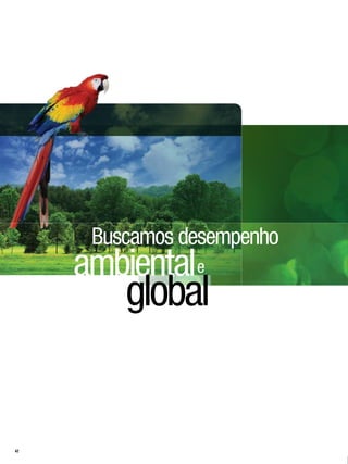 Buscamos desempenho
     ambientale
         global


42
 