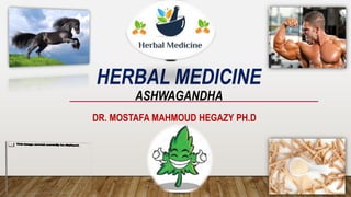 HERBAL MEDICINE
ASHWAGANDHA
DR. MOSTAFA MAHMOUD HEGAZY PH.D
 