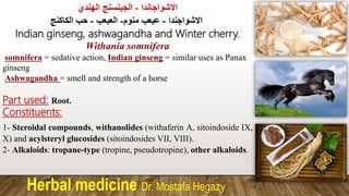 Herbal medicine Dr. Mostafa Hegazy
‫االشواجاندا‬
-
‫الهندي‬ ‫الجينسنج‬
‫االشواجندا‬
-
‫منوم‬ ‫عبعب‬
-
‫العبعب‬
-
‫الكاكنج‬ ‫حب‬
Indian ginseng, ashwagandha and Winter cherry.
Withania somnifera
somnifera = sedative action, Indian ginseng = similar uses as Panax
ginseng
Ashwagandha = smell and strength of a horse
Part used: Root.
Constituents:
1- Steroidal compounds, withanolides (withaferin A, sitoindoside IX,
X) and acylsteryl glucosides (sitoindosides VII, VIII).
2- Alkaloids: tropane-type (tropine, pseudotropine), other alkaloids.
 