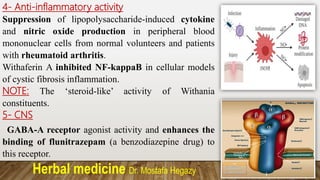 Herbal medicine Dr. Mostafa Hegazy
4- Anti-inflammatory activity
Suppression of lipopolysaccharide-induced cytokine
and nitric oxide production in peripheral blood
mononuclear cells from normal volunteers and patients
with rheumatoid arthritis.
Withaferin A inhibited NF-kappaB in cellular models
of cystic fibrosis inflammation.
NOTE: The ‘steroid-like’ activity of Withania
constituents.
5- CNS
GABA-A receptor agonist activity and enhances the
binding of flunitrazepam (a benzodiazepine drug) to
this receptor.
 