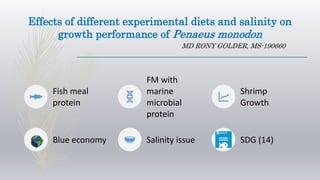 Effects of different experimental diets and salinity on
growth performance of Penaeus monodon
MD RONY GOLDER, MS-190660
Fish meal
protein
FM with
marine
microbial
protein
Shrimp
Growth
Blue economy Salinity issue SDG (14)
 
