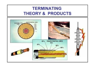 TERMINATING
THEORY & PRODUCTS
 
