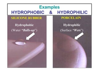 Examples
HYDROPHOBIC & HYDROPHILIC
SILICONE RUBBER PORCELAIN
Hydrophilic
(Surface “Wets”)
Hydrophobic
(Water “Balls-up”)
 