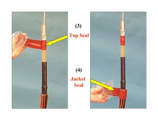 (4)
Jacket
Seal
(3)
Top Seal
 