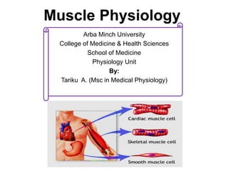 Muscle Physiology
Arba Minch University
College of Medicine & Health Sciences
School of Medicine
Physiology Unit
By:
Tariku A. (Msc in Medical Physiology)
 