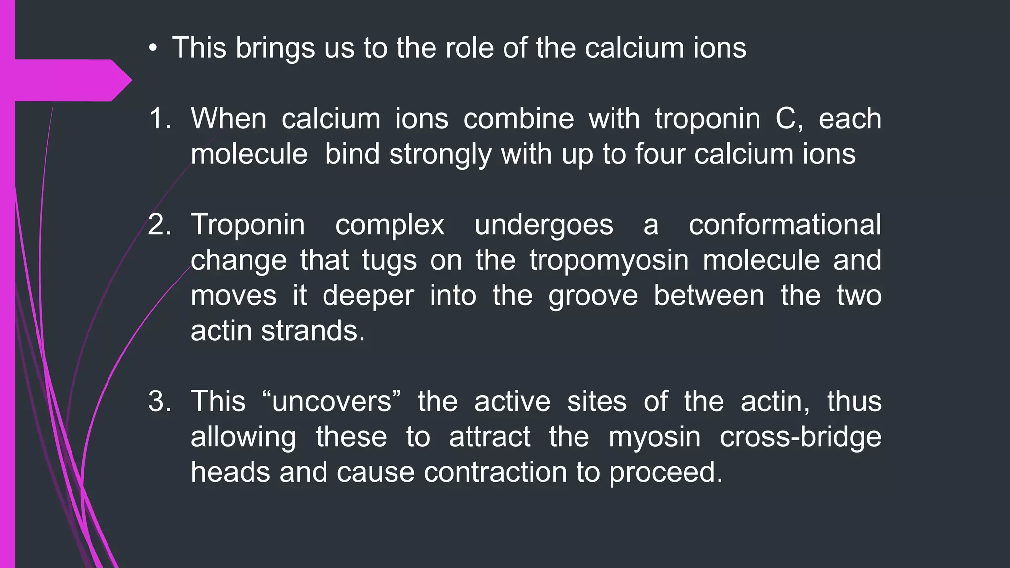 • This brings us to the role of the calcium ions
1. When calcium ions combine with troponin C, each
molecule bind strongly with up to four calcium ions
2. Troponin complex undergoes a conformational
change that tugs on the tropomyosin molecule and
moves it deeper into the groove between the two
actin strands.
3. This “uncovers” the active sites of the actin, thus
allowing these to attract the myosin cross-bridge
heads and cause contraction to proceed.
 