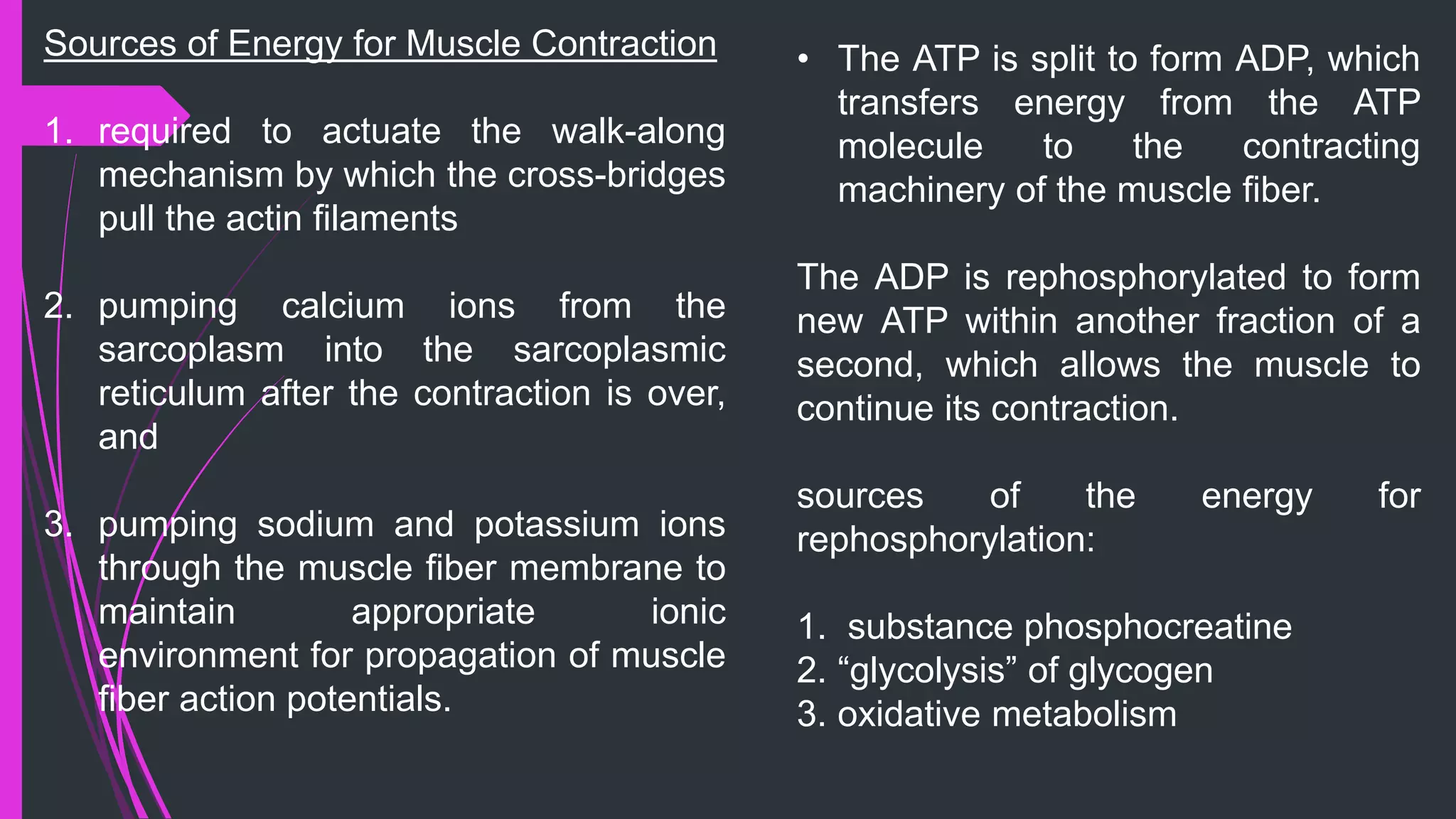 Sources of Energy for Muscle Contraction
1. required to actuate the walk-along
mechanism by which the cross-bridges
pull the actin ﬁlaments
2. pumping calcium ions from the
sarcoplasm into the sarcoplasmic
reticulum after the contraction is over,
and
3. pumping sodium and potassium ions
through the muscle ﬁber membrane to
maintain appropriate ionic
environment for propagation of muscle
ﬁber action potentials.
• The ATP is split to form ADP, which
transfers energy from the ATP
molecule to the contracting
machinery of the muscle ﬁber.
The ADP is rephosphorylated to form
new ATP within another fraction of a
second, which allows the muscle to
continue its contraction.
sources of the energy for
rephosphorylation:
1. substance phosphocreatine
2. “glycolysis” of glycogen
3. oxidative metabolism
 
