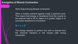 Energetics of Muscle Contraction
Work Output During Muscle Contraction:
When a muscle contracts against a load, it performs work.
This means that energy is transferred from the muscle to
the external load to lift an object to a greater height or to
overcome resistance to movement.
W = L x D
The energy required to perform the work is derived from
the chemical reactions in the muscle cells during
contraction.
 
