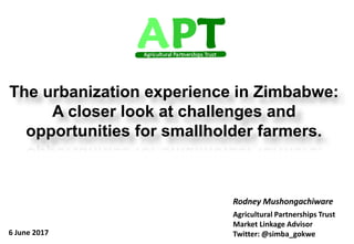 Sustainable economic development through market systems approach
The urbanization experience in Zimbabwe:
A closer look at challenges and
opportunities for smallholder farmers.
Rodney Mushongachiware
Agricultural Partnerships Trust
Market Linkage Advisor
Twitter: @simba_gokwe6 June 2017
 
