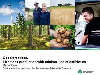 Good practices,
Livestock production with minimal use of antibiotics
My Sahlman
Senior veterinary advisor, the Federation of Swedish Farmers
 