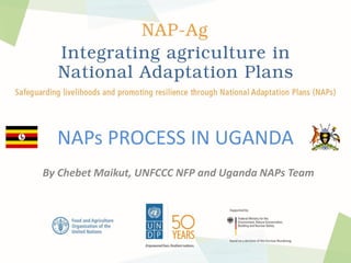 NAPs PROCESS IN UGANDA
By Chebet Maikut, UNFCCC NFP and Uganda NAPs Team
 
