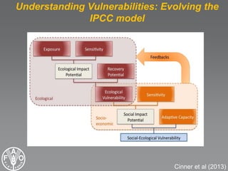 Building resilience & reducing vulnerabilities to climate change in the ...