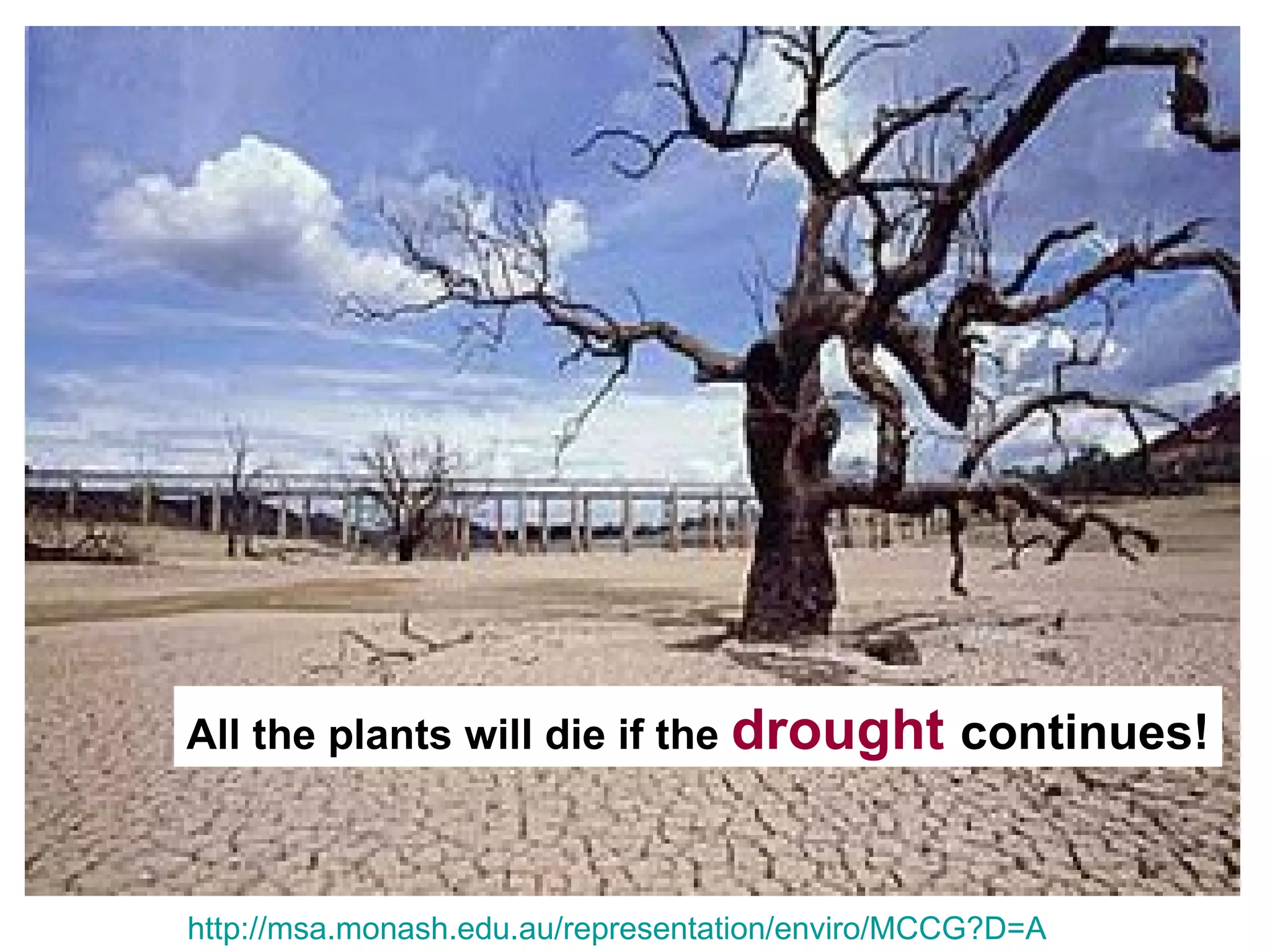 All the plants will die if the drought continues!



http://msa.monash.edu.au/representation/enviro/MCCG?D=A
 