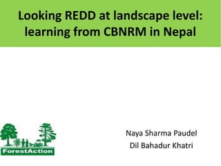 Looking REDD at landscape level:
learning from CBNRM in Nepal

Naya Sharma Paudel
Dil Bahadur Khatri

 