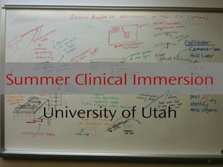 Summer Clinical Immersion

    University of Utah

                         1
 