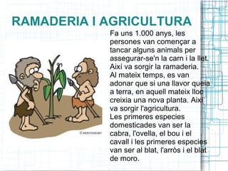 RAMADERIA I AGRICULTURA
Fa uns 1.000 anys, les
persones van començar a
tancar alguns animals per
assegurar-se'n la carn i la llet.
Així va sorgir la ramaderia.
Al mateix temps, es van
adonar que si una llavor queia
a terra, en aquell mateix lloc
creixia una nova planta. Així
va sorgir l'agricultura.
Les primeres especies
domesticades van ser la
cabra, l'ovella, el bou i el
cavall i les primeres especies
van ser al blat, l'arròs i el blat
de moro.
 