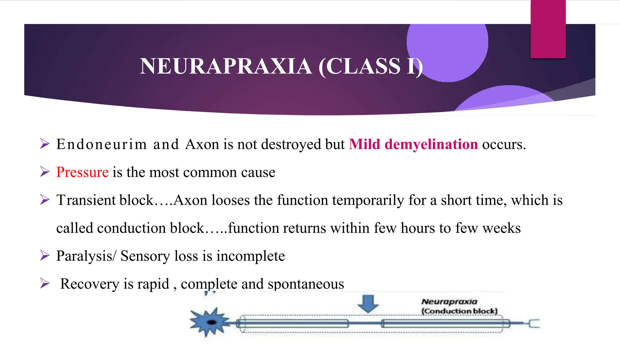 3 Nerve injury, degeneration Regeneration-.pptx