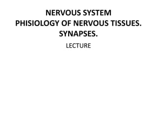 NERVOUS SYSTEM
PHISIOLOGY OF NERVOUS TISSUES.
SYNAPSES.
LECTURE
 