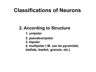 Classifications of Neurons
2. According to Structure
1. unipolar
2. pseudounipolar
3. bipolar
4. multipolar ( M. can be pyramidal,
stellate, basket, granule, etc.)
 