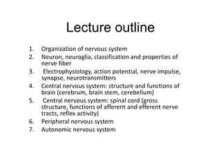 Lecture outline
1. Organization of nervous system
2. Neuron, neuroglia, classification and properties of
nerve fiber
3. Electrophysiology, action potential, nerve impulse,
synapse, neurotransmitters
4. Central nervous system: structure and functions of
brain (cerebrum, brain stem, cerebellum)
5. Central nervous system: spinal cord (gross
structure, functions of afferent and efferent nerve
tracts, reflex activity)
6. Peripheral nervous system
7. Autonomic nervous system
 