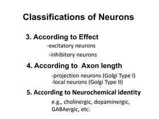 Classifications of Neurons
3. According to Effect
4. According to Axon length
a. excitatory neurons
b.
-inhibitory neurons
-excitatory neurons
-projection neurons (Golgi Type I)
-local neurons (Golgi Type II)
5. According to Neurochemical identity
e.g., cholinergic, dopaminergic,
GABAergic, etc.
 
