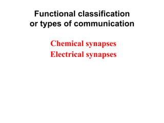Functional classification
or types of communication
Chemical synapses
Electrical synapses
 