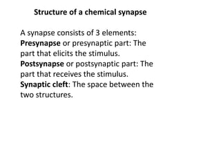 Structure of a chemical synapse
A synapse consists of 3 elements:
Presynapse or presynaptic part: The
part that elicits the stimulus.
Postsynapse or postsynaptic part: The
part that receives the stimulus.
Synaptic cleft: The space between the
two structures.
 