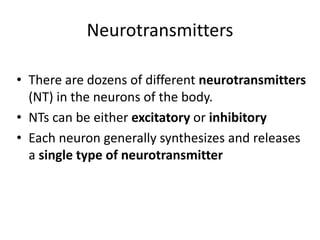 Neurotransmitters
• There are dozens of different neurotransmitters
(NT) in the neurons of the body.
• NTs can be either excitatory or inhibitory
• Each neuron generally synthesizes and releases
a single type of neurotransmitter
 