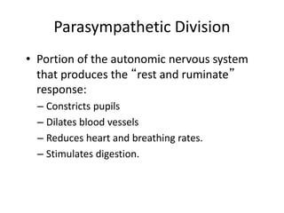Parasympathetic Division
• Portion of the autonomic nervous system
that produces the “rest and ruminate”
response:
– Constricts pupils
– Dilates blood vessels
– Reduces heart and breathing rates.
– Stimulates digestion.
 