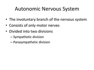 Autonomic Nervous System
• The involuntary branch of the nervous system
• Consists of only motor nerves
• Divided into two divisions
– Sympathetic division
– Parasympathetic division
 