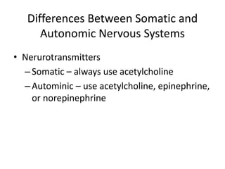 Differences Between Somatic and
Autonomic Nervous Systems
• Nerurotransmitters
–Somatic – always use acetylcholine
–Autominic – use acetylcholine, epinephrine,
or norepinephrine
 