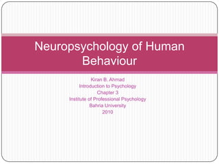 Kiran B. Ahmad Introduction to Psychology Chapter 3 Institute of Professional Psychology Bahria University 2010 Neuropsychology of Human Behaviour 
