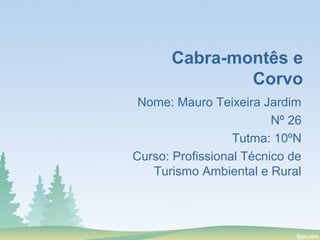 Nome: Mauro Teixeira Jardim
Nº 26
Tutma: 10ºN
Curso: Profissional Técnico de
Turismo Ambiental e Rural
Cabra-montês e
Corvo
 