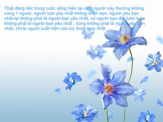 Thật đáng tiếc trong cuộc sống hiện tại cả 3 người này thường không cùng 1 người, người bạn yêu nhất không chọn bạn, ngưới yêu bạn nhất lại không phải là người bạn yêu nhất, và người bạn đời luôn luôn không phải là người bạn yêu nhất , cũng không phải là người yêu bạn nhất, chỉ là người xuất hiện vào lúc thích hợp nhất.   