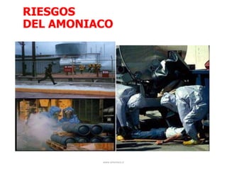 RIESGOS
DEL AMONIACO
www.amoniaco.cl
 