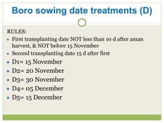 Boro sowing date treatments (D) 
RULES: 
● First transplanting date NOT less than 10 d after aman 
harvest, & NOT before 1...