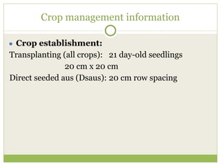 Triple rice in a year: Is it feasible for low salinity areas of the coastal zone of Bangladesh?