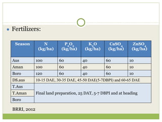 Triple rice in a year: Is it feasible for low salinity areas of the coastal zone of Bangladesh?