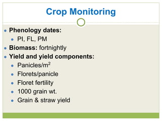 Triple rice in a year: Is it feasible for low salinity areas of the coastal zone of Bangladesh?