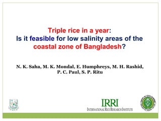 Triple rice in a year: 
Is it feasible for low salinity areas of the 
coastal zone of Bangladesh? 
N. K. Saha, M. K. Monda...