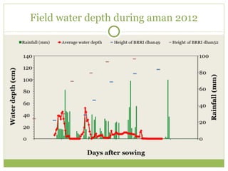 Triple rice in a year: Is it feasible for low salinity areas of the coastal zone of Bangladesh?