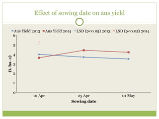 Effect of sowing date on aus yield 
 