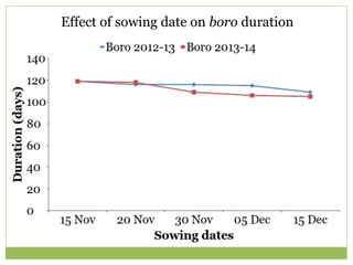 Triple rice in a year: Is it feasible for low salinity areas of the coastal zone of Bangladesh?