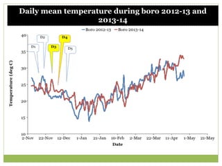Triple rice in a year: Is it feasible for low salinity areas of the coastal zone of Bangladesh?