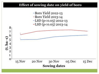 Triple rice in a year: Is it feasible for low salinity areas of the coastal zone of Bangladesh?